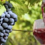 Conheça o poder do suco de uva integral